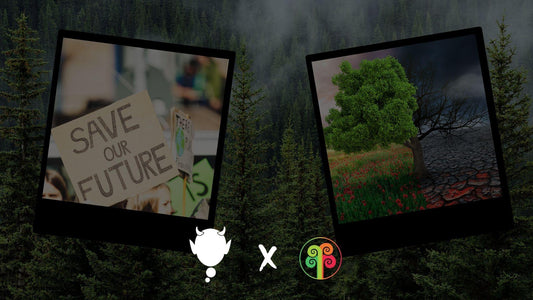 Partnership con Treenation - Bubblenerd